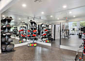 Thumbnail 34 of 58 - a  gym with a lot of exercise equipment