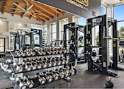 Thumbnail 33 of 58 - a fully equipped fitness center with weights and other exercise equipment