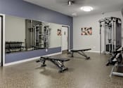 Thumbnail 24 of 24 - A gym with a mirror, weights, and exercise equipment.