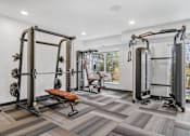 Thumbnail 27 of 61 - A gym with a squat rack, a bench, and a rowing machine.