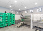 Thumbnail 22 of 30 - A clean, well-lit commercial kitchen with green storage containers and stainless steel appliances.