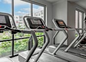 Thumbnail 33 of 42 - A row of treadmills in a gym with a view of a residential area outside the window.