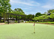 Thumbnail 34 of 43 - A flag is planted in a green lawn.