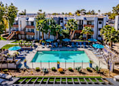 Thumbnail 17 of 27 - A swimming pool surrounded by palm trees and lounge chairs.