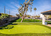 Thumbnail 24 of 27 - A green lawn in the middle of a sunny day.