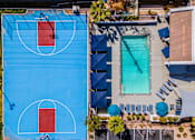 Thumbnail 27 of 27 - A basketball court is surrounded by a pool and lounge chairs.