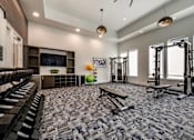 Thumbnail 25 of 36 - Fully equipped fitness center