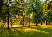 Thumbnail 43 of 50 - A serene park with trees and a pathway.