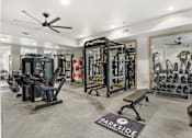 Thumbnail 12 of 30 - A gym with a variety of equipment including a squat rack, bench, and weights.