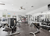 Thumbnail 15 of 29 - A gym with a variety of equipment including a weight bench, a squat rack, and a treadmill.