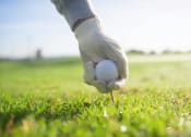 Thumbnail 42 of 59 - a person holding a golf ball on a tee