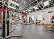 Thumbnail 8 of 12 - A gym with a variety of equipment including a squat rack, bench press, and a rowing machine.