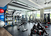 Thumbnail 8 of 15 - A gym with a variety of equipment including weights and cardio machines.