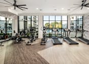 Thumbnail 18 of 27 - 24HR Fitness Center