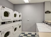 Thumbnail 13 of 13 - Laundry room with rows of washing machines