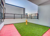 Thumbnail 29 of 30 - Dog area