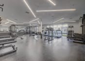 Thumbnail 16 of 26 - a gym with weights and cardio equipment in a building with windows