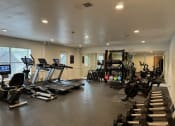 Thumbnail 20 of 23 - a gym with cardio equipment and weights on the floor