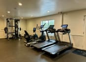 Thumbnail 22 of 23 - a gym with treadmills and other exercise equipment