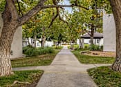 Thumbnail 28 of 51 - sidewalk through trees and buildings at thevillage at legacy