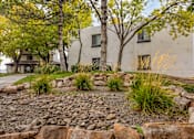 Thumbnail 27 of 51 - a yard with rocks and trees in front of a building