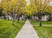 Thumbnail 2 of 51 - a tree lined sidewalk in front of some houses
