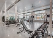 Thumbnail 30 of 34 - a gym with rows of weights and dumbbells