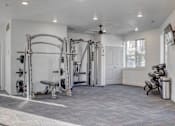 Thumbnail 14 of 32 - Gym weights