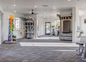Thumbnail 11 of 32 - Full Gym