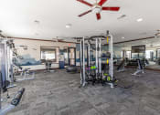 Thumbnail 26 of 31 - a gym with weights and cardio machines and a ceiling fan