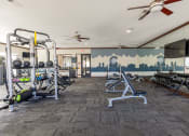 Thumbnail 28 of 31 - a gym with weights and cardio equipment and a mural of the city