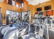 Thumbnail 14 of 31 - Gym