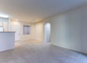 Thumbnail 31 of 31 - Empty Unit - Living Area
