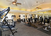 Thumbnail 11 of 15 - Workout Facility at Mandalay on 4th Condominiums, St. Petersburg, Florida