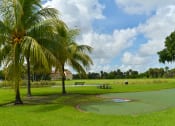 Thumbnail 13 of 13 - a golf course with two palm trees in a park