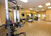 Thumbnail 26 of 28 - Workout Facility at Green Oaks Apartments, Tampa