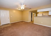 Thumbnail 8 of 28 - Living room view at Green Oaks Apartments, Tampa