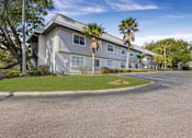 Thumbnail 3 of 15 - A building with a grey roof and white walls is surrounded by palm trees at Willow Brooke Apartments, Florida, 33613