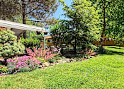 Thumbnail 15 of 21 - A garden with a variety of plants and a house in the background.