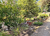 Thumbnail 17 of 21 - A garden with a statue of a rabbit and a variety of plants.