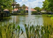 Thumbnail 3 of 6 - Arbor Lakes Pond Fountain Exterior Sanford Orlando Florida