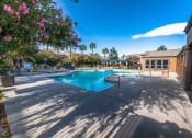 Thumbnail 20 of 23 - Pool Area at Pinehurst Condominiums Apartments ,Las Vegas,89118