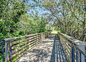 Thumbnail 38 of 43 - A wooden bridge with metal railings leads through a lush green forest.