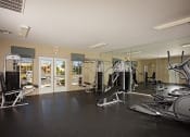 Thumbnail 23 of 23 - Gym equipment at  Springbrook Townhomes Apartments, Florida