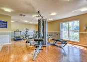 Thumbnail 5 of 15 - A gym with a variety of equipment including a treadmill, weights, and a bench press.