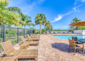 Thumbnail 9 of 15 - A poolside area with sun loungers and palm trees.