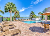 Thumbnail 10 of 15 - A pool surrounded by palm trees and a patio with chairs and a table.
