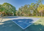 Thumbnail 18 of 25 - a tennis court with trees in the background on a sunny day