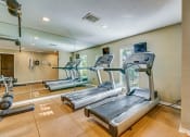Thumbnail 23 of 25 - a gym with cardio equipment on the floor and mirrored walls