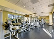 Thumbnail 20 of 32 - the gym at the runnymede on best student halls of residence